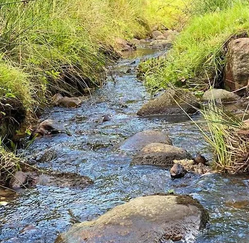 Naturskon Landidyl Pa Ibaekgaarden - I Egen Bolig * Vejle